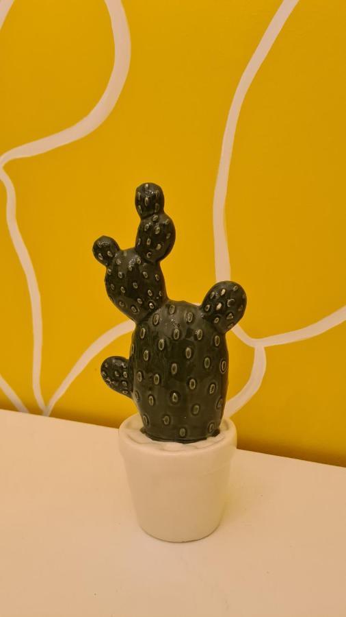 Casa Cactus Sapiddu Apartment Palermo Ngoại thất bức ảnh